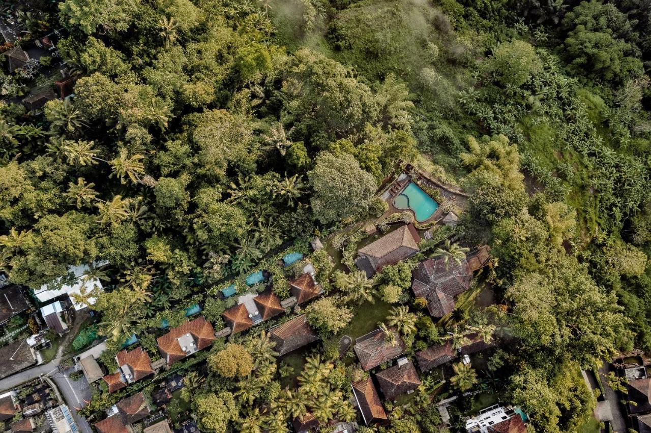 Teja Lokha Ubud Villa Eksteriør billede